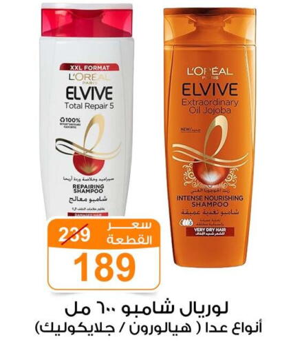 available at Gomla Market in Egypt - Cairo