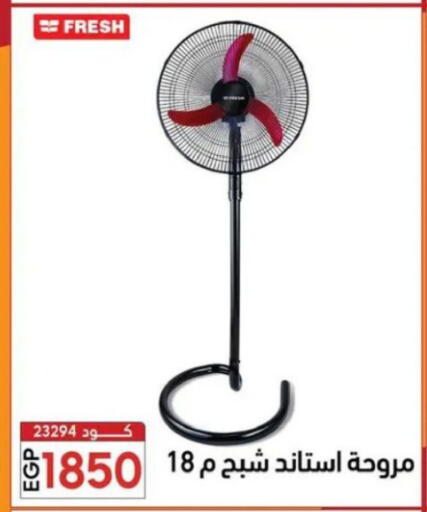 available at Center Elzelzal in Egypt - Cairo