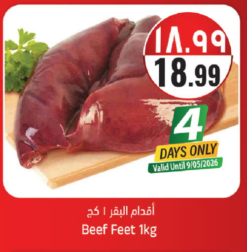 available at City Flower in KSA, Saudi Arabia, Saudi - Sakaka
