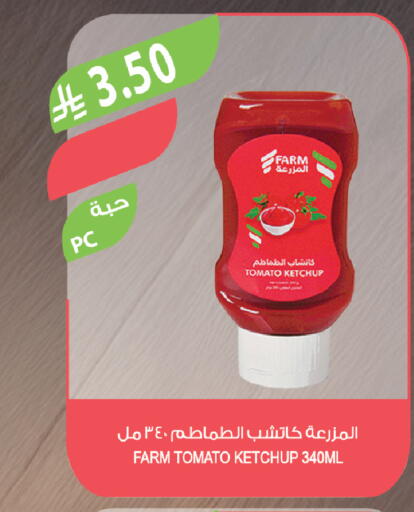 Tomato available at Farm  in KSA, Saudi Arabia, Saudi - Al-Kharj