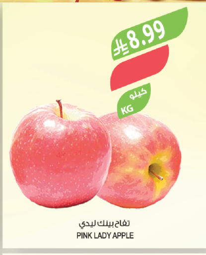 Apple available at Farm  in KSA, Saudi Arabia, Saudi - Tabuk