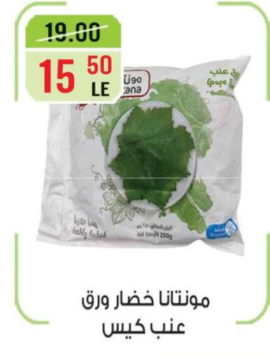 in Egypt - القاهرة