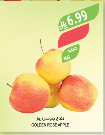 Apple available at Farm  in KSA, Saudi Arabia, Saudi - Tabuk