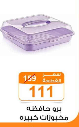 available at Gomla Market in Egypt - Cairo