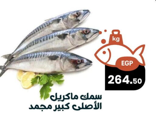 available at Arafa Market in Egypt - Cairo