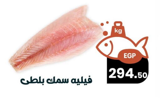 available at Arafa Market in Egypt - Cairo