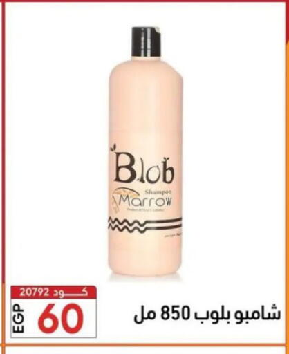 Marrow available at Center Elzelzal in Egypt - Cairo