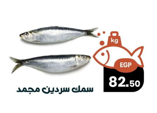 available at Arafa Market in Egypt - Cairo