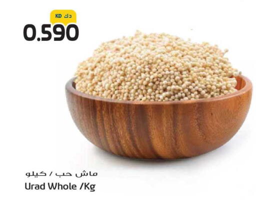 available at جراند هايبر in الكويت - مدينة الكويت