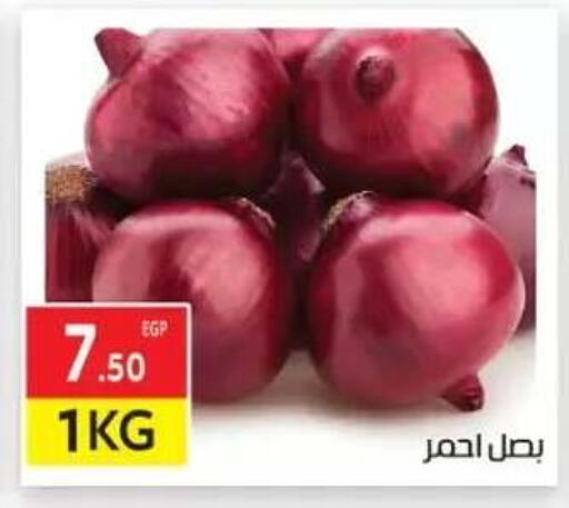 available at المحلاوي ماركت in Egypt - القاهرة
