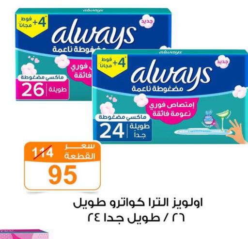 available at Gomla Market in Egypt - Cairo