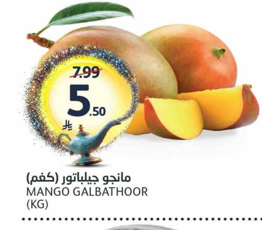 Mango available at AlJazera Shopping Center in KSA, Saudi Arabia, Saudi - Riyadh