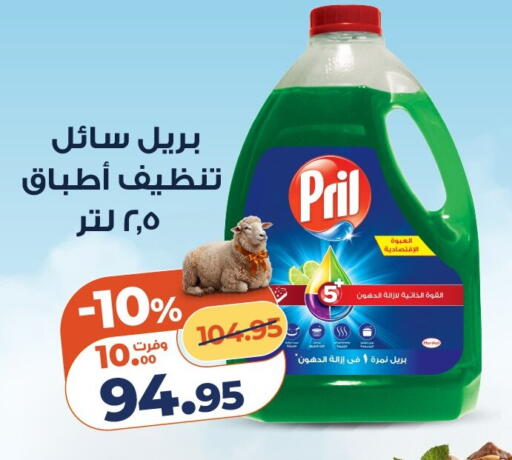 available at كازيون in Egypt - القاهرة