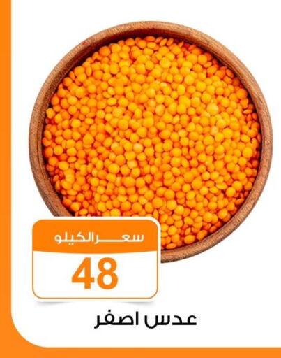 available at Gomla Market in Egypt - Cairo