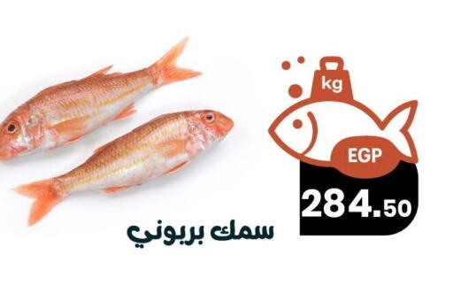 available at Arafa Market in Egypt - Cairo