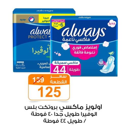 available at Gomla Market in Egypt - Cairo