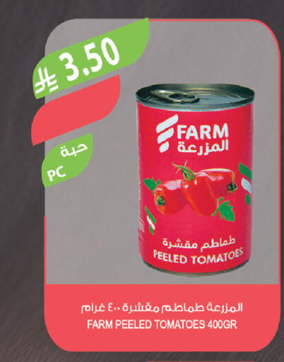 Tomato available at Farm  in KSA, Saudi Arabia, Saudi - Tabuk