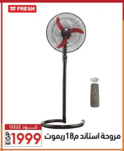 available at Center Elzelzal in Egypt - Cairo
