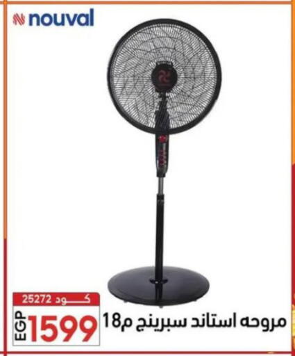 available at Center Elzelzal in Egypt - Cairo