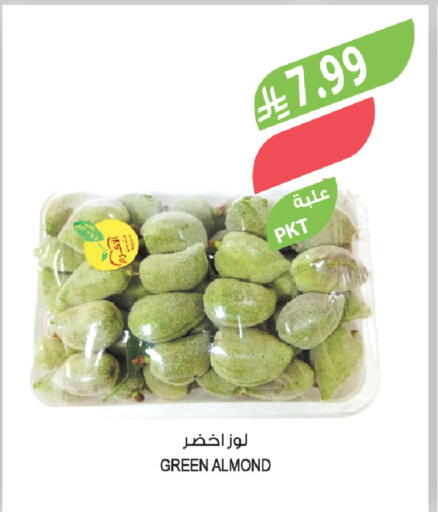 available at Farm  in KSA, Saudi Arabia, Saudi - Tabuk