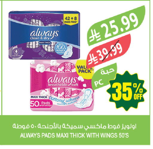 available at Farm  in KSA, Saudi Arabia, Saudi - Tabuk