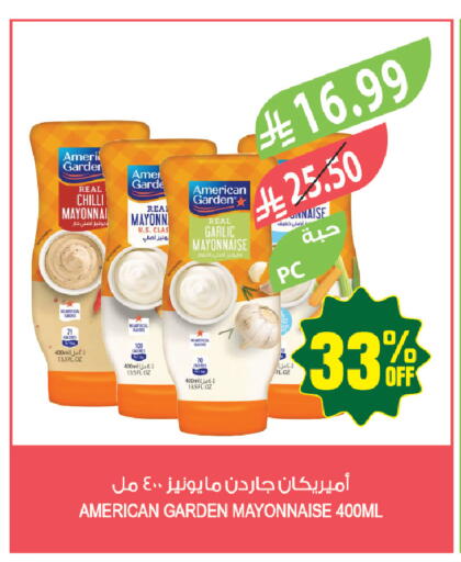 Chilli Garlic available at Farm  in KSA, Saudi Arabia, Saudi - Tabuk