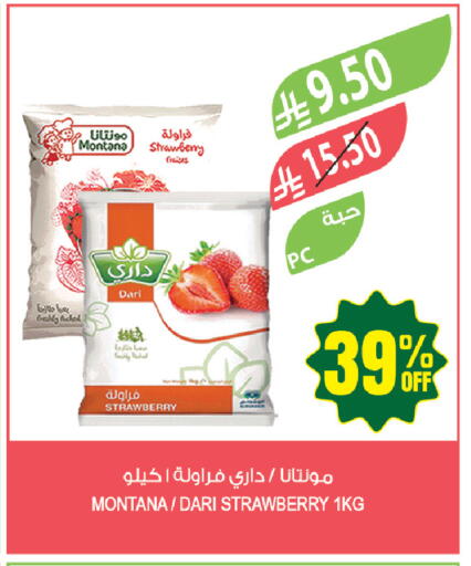 Strawberry available at Farm  in KSA, Saudi Arabia, Saudi - Tabuk