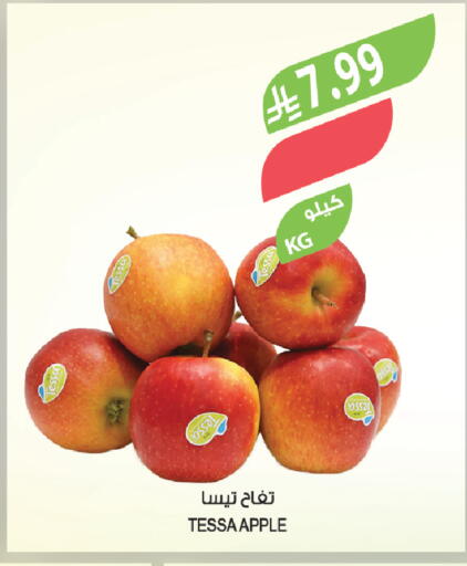 Apple available at Farm  in KSA, Saudi Arabia, Saudi - Tabuk