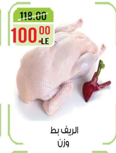 available at Grand Hyper Market in Egypt - Cairo