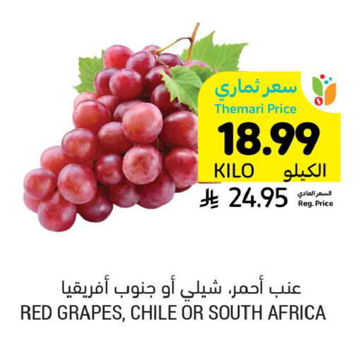 Grapes from Chile South Africa available at Tamimi Market in KSA, Saudi Arabia, Saudi - Tabuk