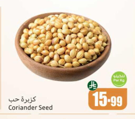 Coriander available at أسواق عبد الله العثيم in مملكة العربية السعودية, السعودية, سعودية - المدينة المنورة