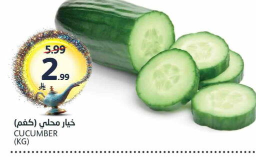 Cucumber available at AlJazera Shopping Center in KSA, Saudi Arabia, Saudi - Riyadh