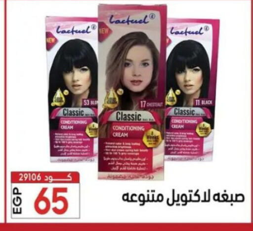 available at Center Elzelzal in Egypt - Cairo