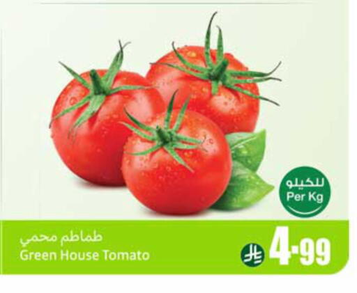 Tomato available at Othaim Markets in KSA, Saudi Arabia, Saudi - Jubail