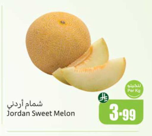 Melon from Jordan available at أسواق عبد الله العثيم in مملكة العربية السعودية, السعودية, سعودية - أبها