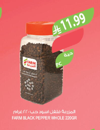 Pepper available at Farm  in KSA, Saudi Arabia, Saudi - Jeddah