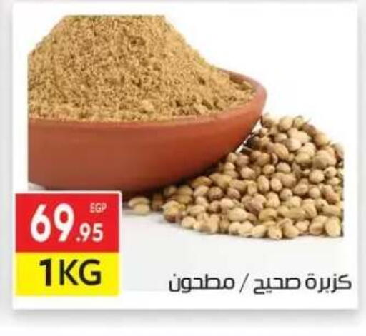 available at المحلاوي ماركت in Egypt - القاهرة