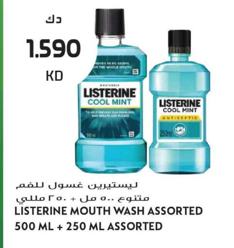 Mint available at Grand Hyper in Kuwait - Kuwait City