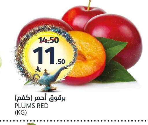 Plums available at AlJazera Shopping Center in KSA, Saudi Arabia, Saudi - Riyadh