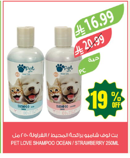 Strawberry available at Farm  in KSA, Saudi Arabia, Saudi - Tabuk