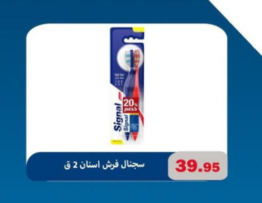available at El Menshawy Markets in Egypt - Cairo