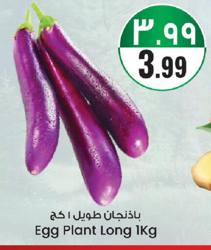 available at City Flower in KSA, Saudi Arabia, Saudi - Sakaka