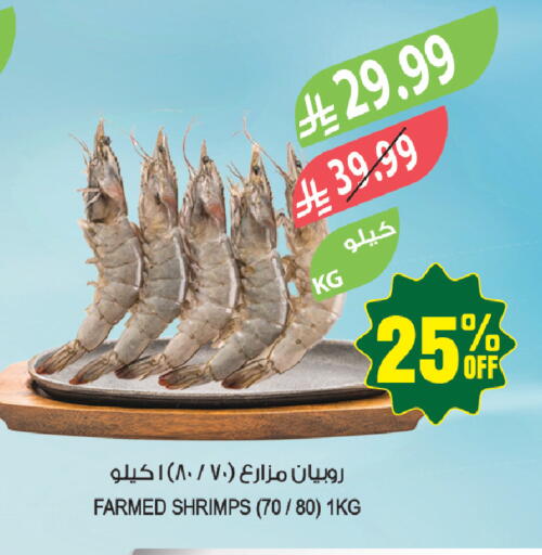 available at Farm  in KSA, Saudi Arabia, Saudi - Tabuk