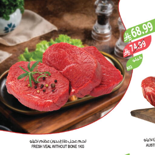 available at المزرعة in مملكة العربية السعودية, السعودية, سعودية - تبوك