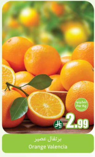 Orange available at Othaim Markets in KSA, Saudi Arabia, Saudi - Jazan