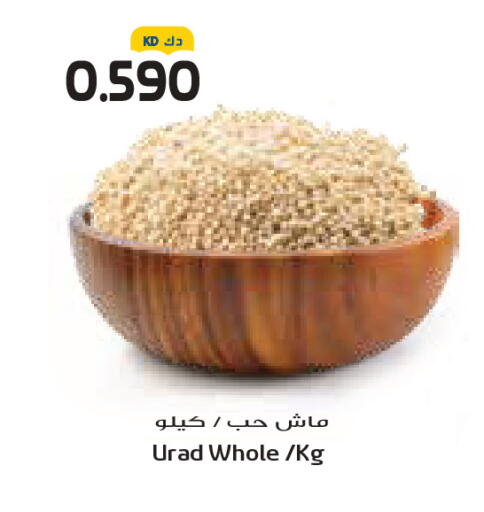 available at Grand Costo in Kuwait - Kuwait City