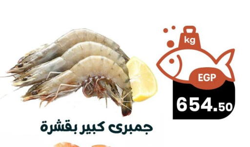 available at Arafa Market in Egypt - Cairo