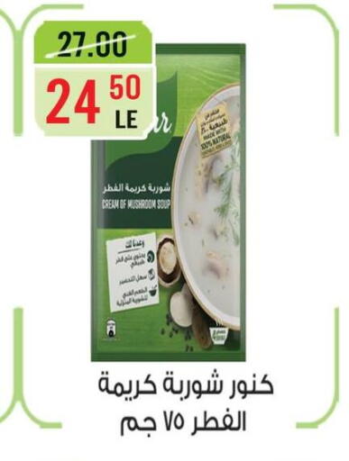Mushroom in Egypt - القاهرة