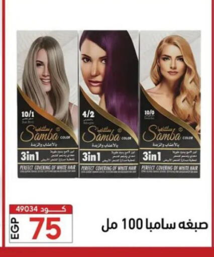 available at Center Elzelzal in Egypt - Cairo