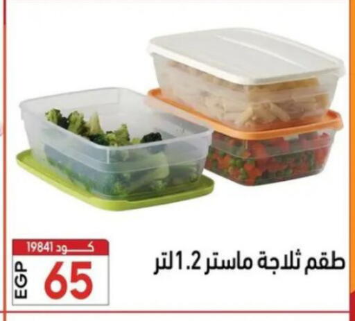 available at Center Elzelzal in Egypt - Cairo